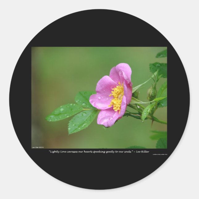 Nature Of Love Wild Rose Spring Storm Beauty Classic Round Sticker (Front)