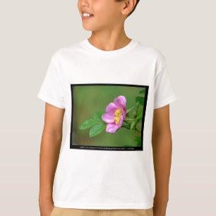 Nature Of Love Wild Rose Spring Storm Beauty T-Shirt