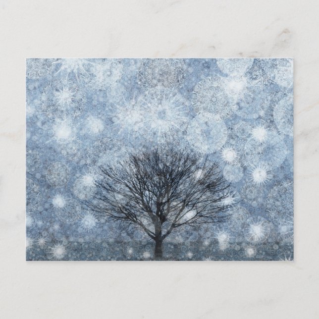 Nature of Survival Postcard (Front)