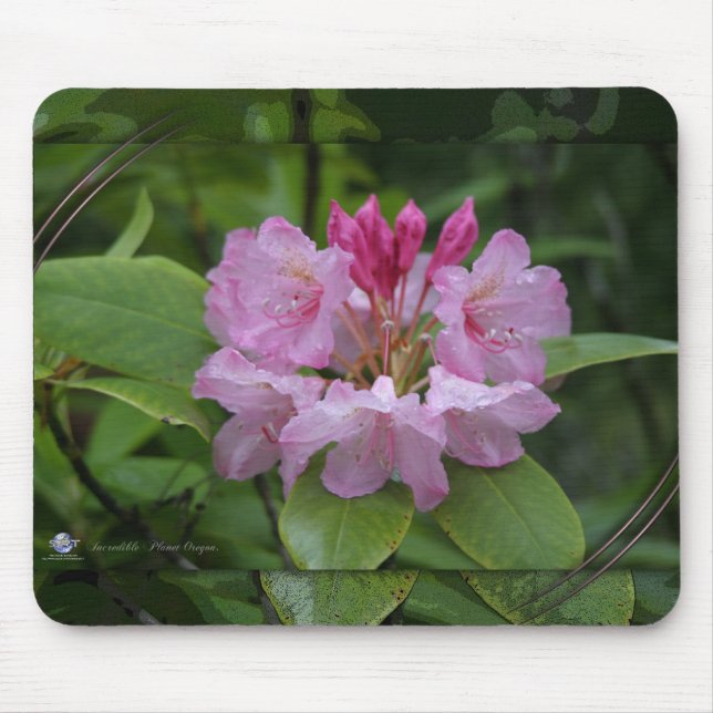 NATURE OREGON MOUSE MAT (Front)