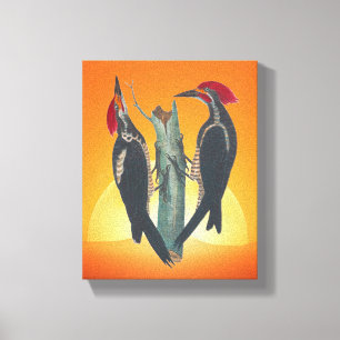 Nature Pair of Wild WoodPeckers Canvas Print