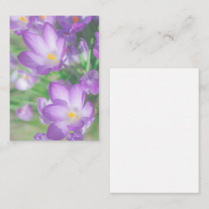 Nature Pale Purple Pastel Crocus Flowers Floral Enclosure Card