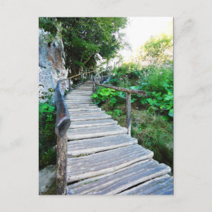 nature path postcard