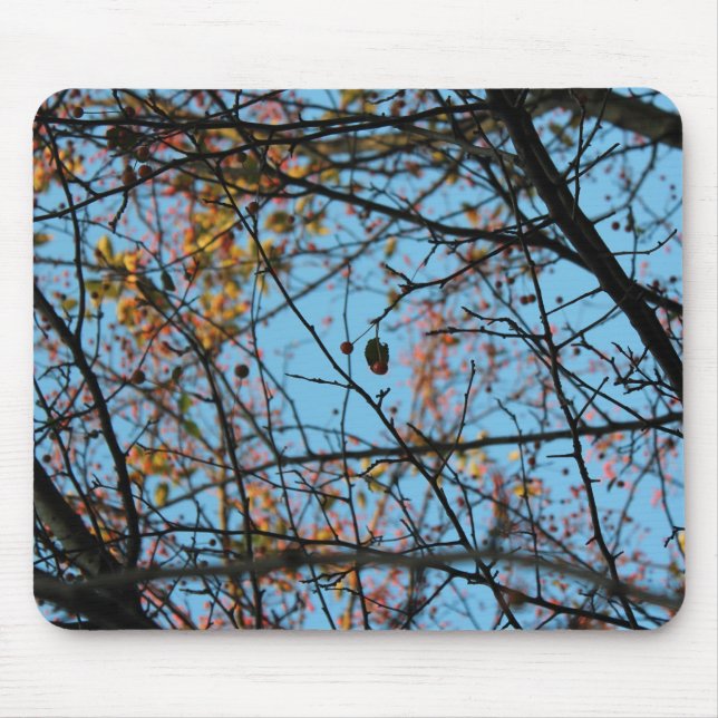 Nature pattern mouse mat (Front)