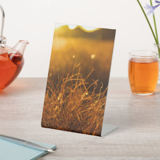 Nature Pedestal Sign