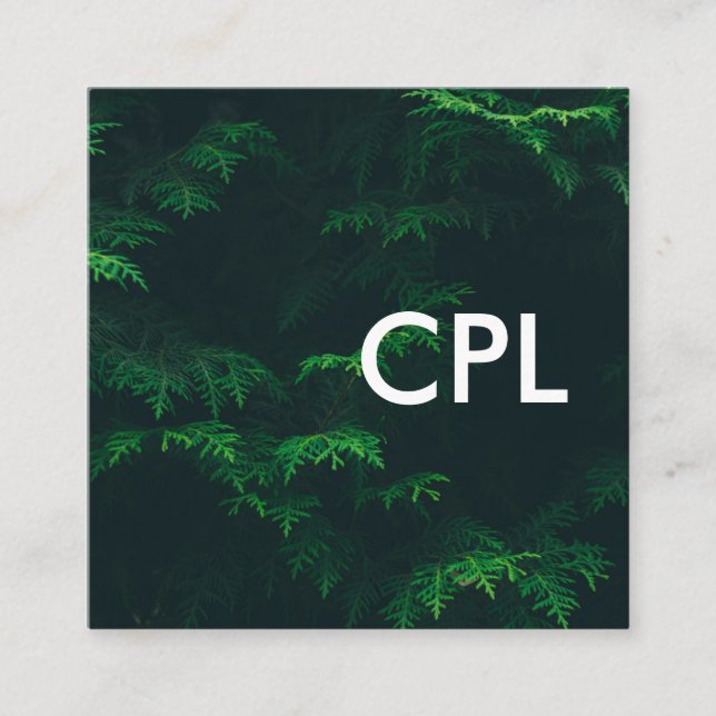 Nature Photograph Square Business Card (Front)