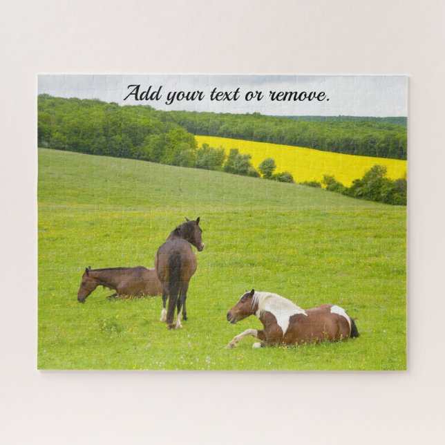 Nature photograph, wild brown horses in a meadow: jigsaw puzzle (Horizontal)