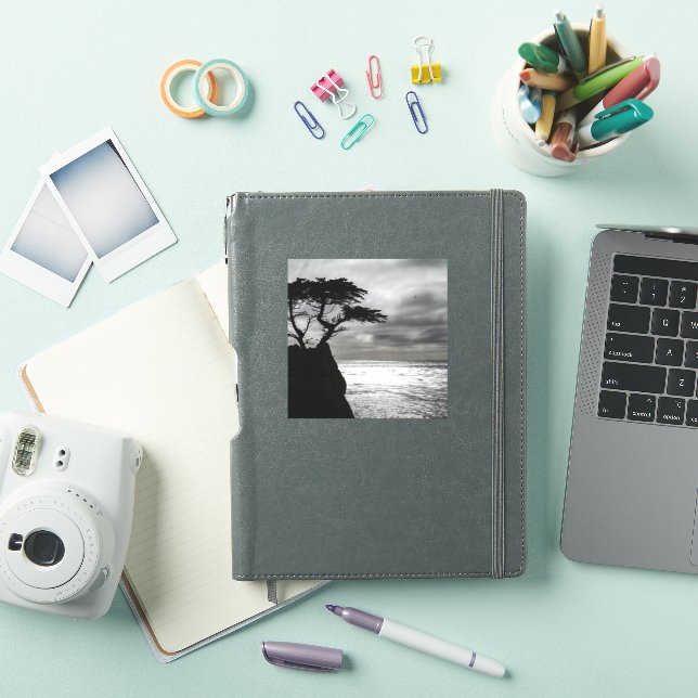 Nature Photography Black and White (iPad Cover)