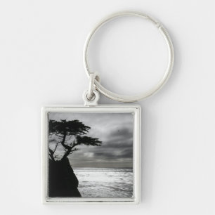 Nature Photography Black and White Key Ring