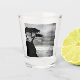 Nature Photography Black and White Shot Glass