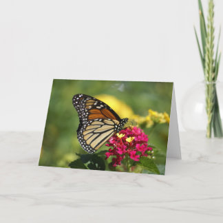 Nature Photography Card