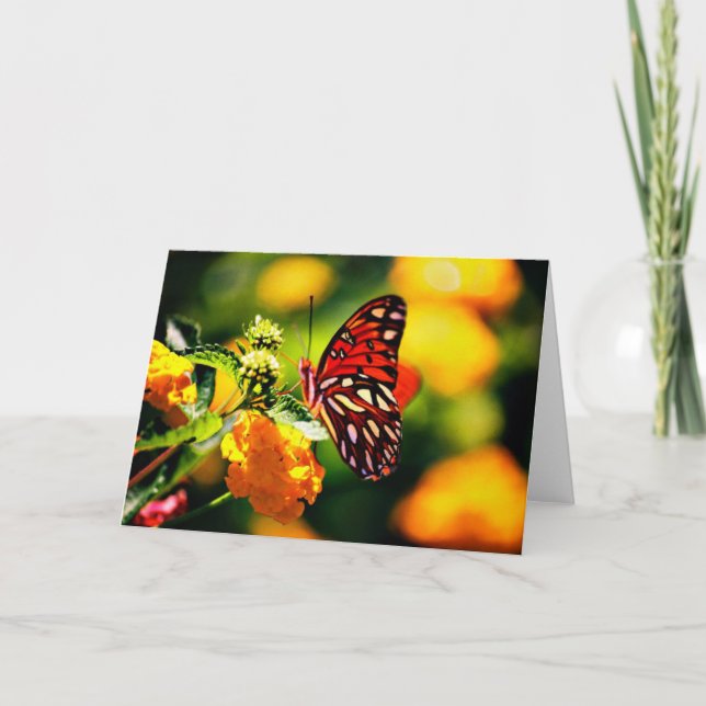 Nature Photography Card (Front)