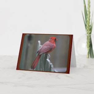 Nature Photography Card