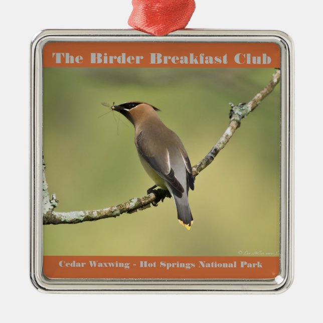 Nature Photography Cedar Waxwing Birder Metal Tree Decoration (Front)