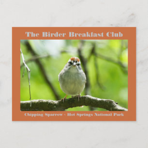 Nature Photography Chipping Sparrow Birder Card