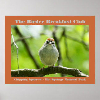 Nature Photography Chipping Sparrow Birder Poster