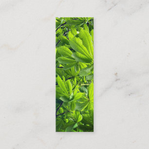 Nature Photography Green Leaves Bookmark New Leaf Mini Business Card