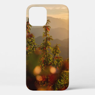 Nature photography of green trees overlooking moun iPhone 12 case