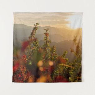 NATURE PHOTOGRAPHY OF GREEN TREES OVERLOOKING MOUN TAPESTRY