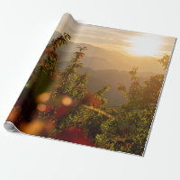 Nature photography of green trees overlooking moun