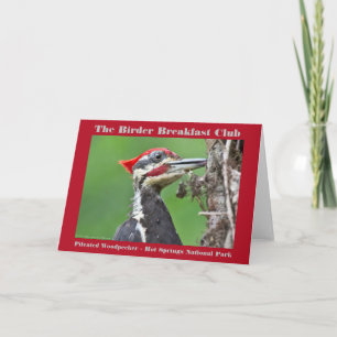 Nature Photography Pileated Woodpecker Birder Card