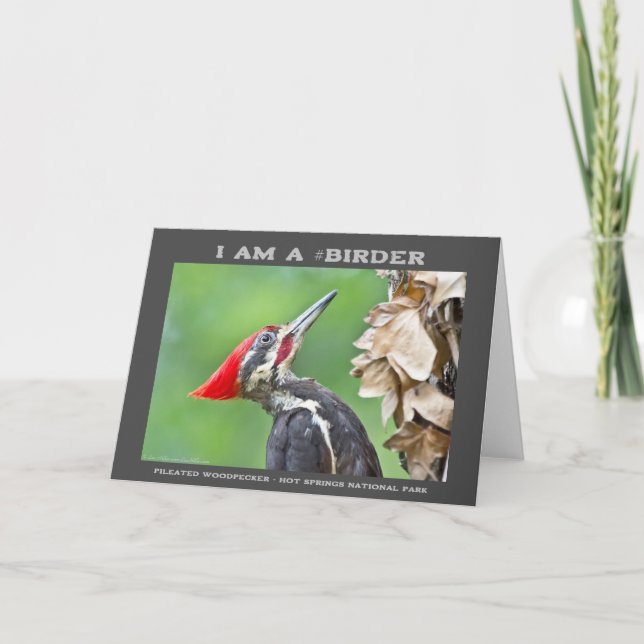 Nature Photography Pileated Woodpecker Birder Card (Front)