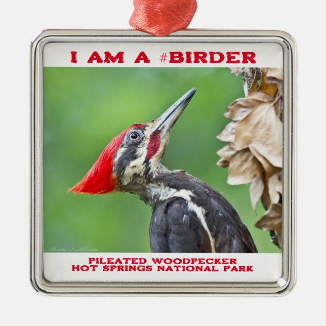 Nature Photography Pileated Woodpecker Birder Metal Tree Decoration (Front)