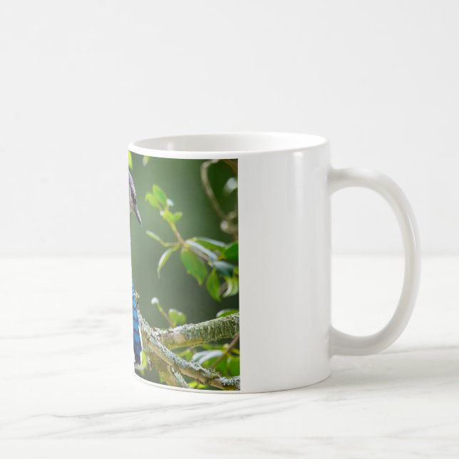 Nature Photography Shy Blue Jay Apparel Gifts Coffee Mug (Right)