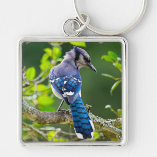 Nature Photography Shy Blue Jay Apparel Gifts Key Ring