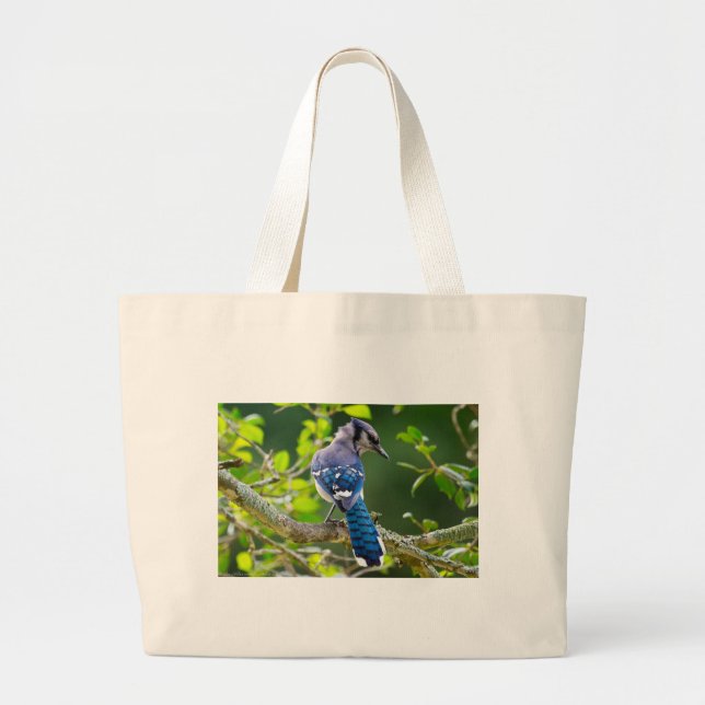 Nature Photography Shy Blue Jay Apparel Gifts Large Tote Bag (Front)