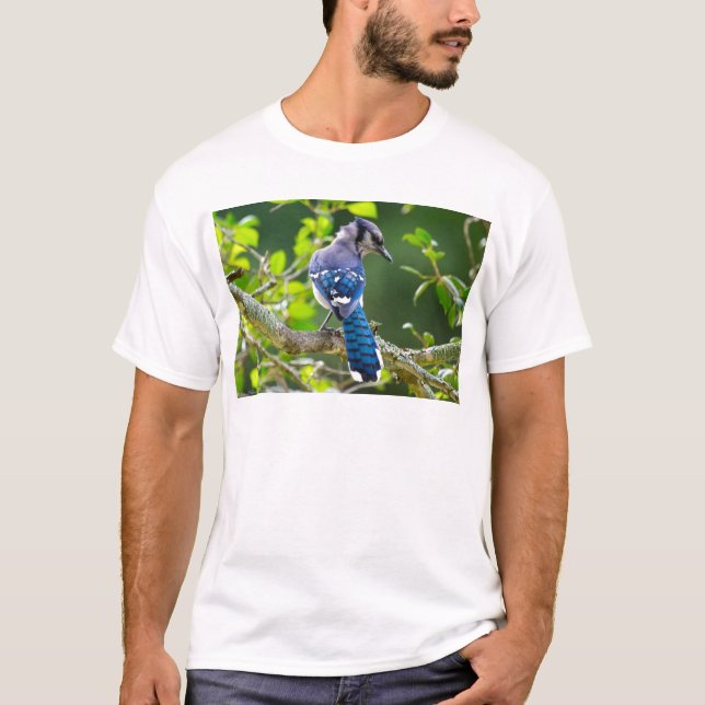 Nature Photography Shy Blue Jay Apparel Gifts T-Shirt (Front)