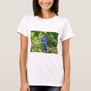 Nature Photography Shy Blue Jay Apparel Gifts T-Shirt