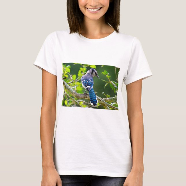 Nature Photography Shy Blue Jay Apparel Gifts T-Shirt (Front)