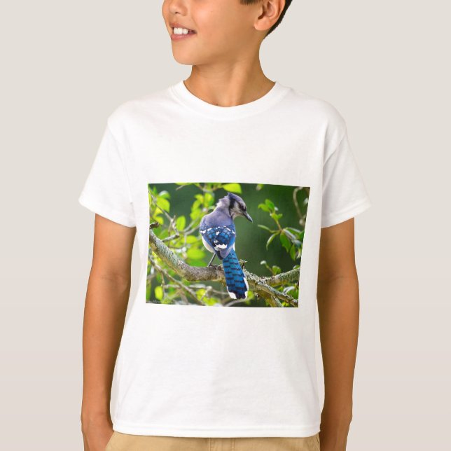 Nature Photography Shy Blue Jay Apparel Gifts T-Shirt (Front)