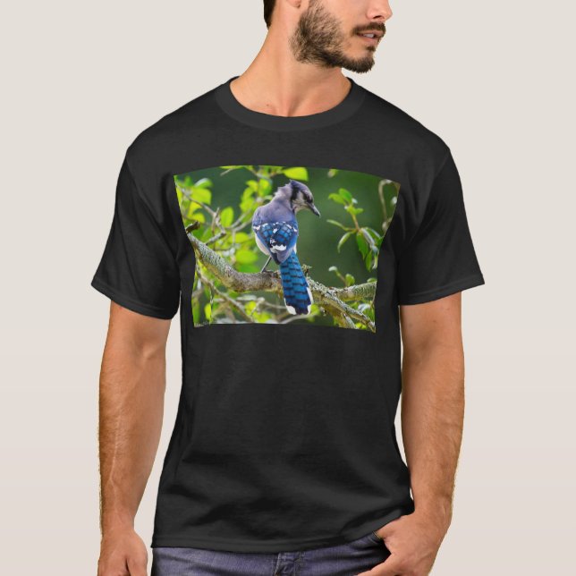 Nature Photography Shy Blue Jay Apparel Gifts T-Shirt (Front)