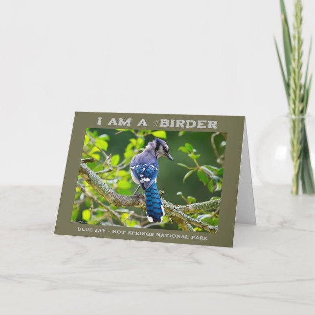Nature Photography Shy Blue Jay Birder Card (Front)