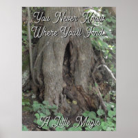 Nature Photography Tree Trunk Fairy Door