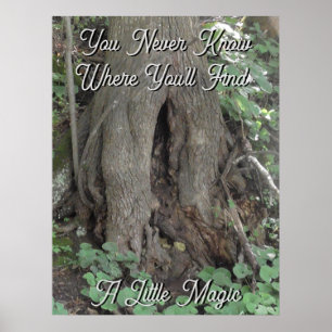 Nature Photography Tree Trunk Fairy Door Poster