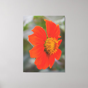Nature Photography Vibrant Warm Orange Flower Canvas Print