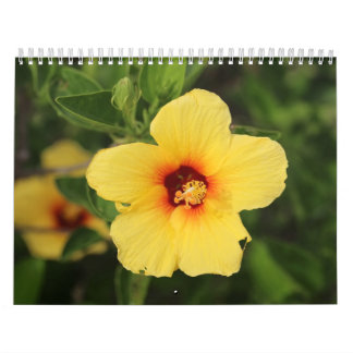 Nature photos from Kaui Calendar