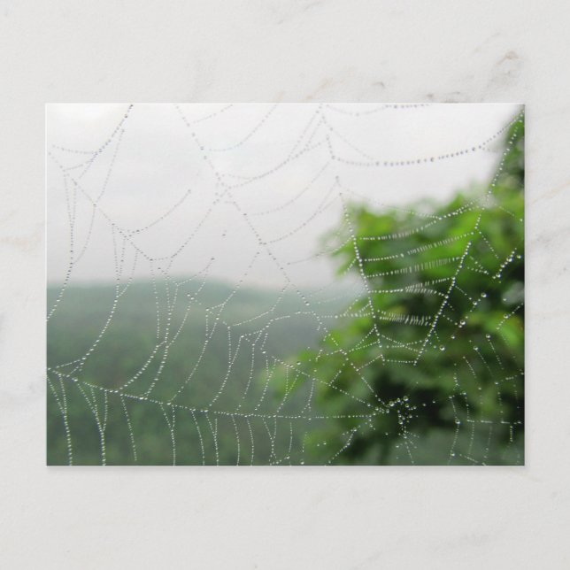 nature pics postcard (Front)