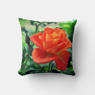 Nature Pink Rose Flower-46458 Cushion