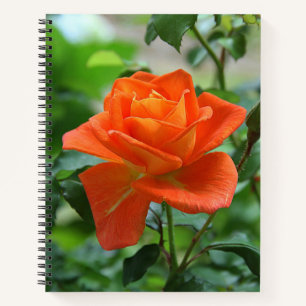 Nature Pink Rose Flower Notebook