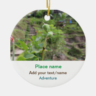 Nature plants photography beach water travel name ceramic tree decoration