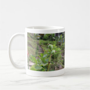 Nature plants photography beach water travel name coffee mug