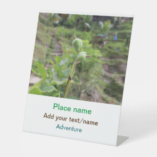 Nature plants photography beach water travel name pedestal sign