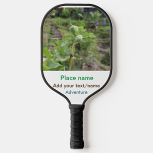 Nature plants photography beach water travel name pickleball paddle