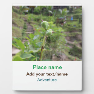 Nature plants photography beach water travel name plaque