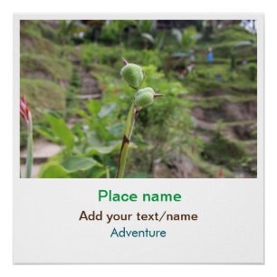 Nature plants photography beach water travel name poster