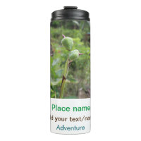Nature plants photography beach water travel name
